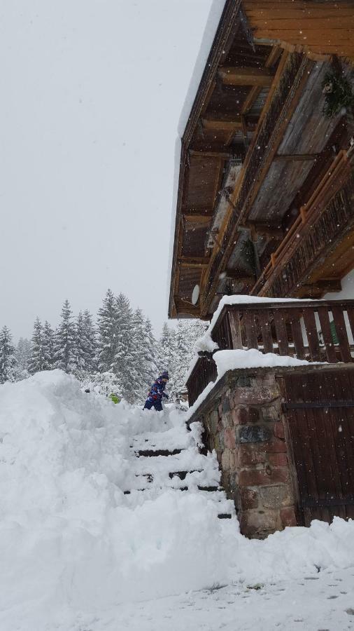 Oberseebachhof Scheffau am Wilden Kaiser Exteriör bild